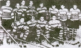 hokejové družstvo Jawy - stojící zleva: L. Štajner, J. Šulc, M. Kremer, M. Čalda, J. Janeček, P. Slavíček, M. Vokurka, F. Helikar - sedící zleva: G. Havel, F. Šťastný, J. Janouš, G. Šulc